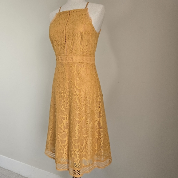 ANTONIO MELANI | Women's Lace Mustard Yellow Sleeveless Midi Dress Size 4 - Picture 2 of 16